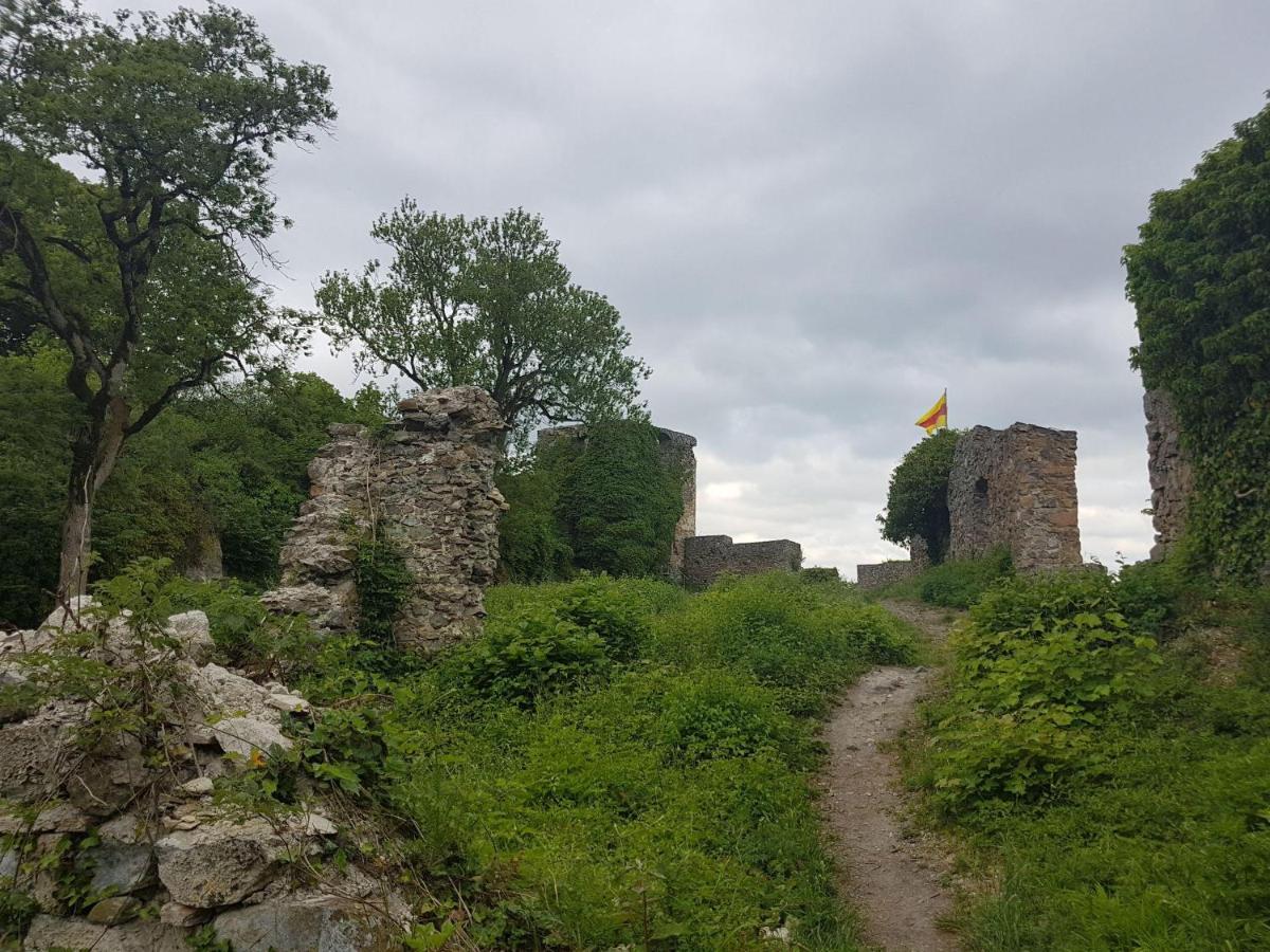 Ferienwohnung Hegau- Bodensee Og Muhlhausen-Ehingen Bagian luar foto