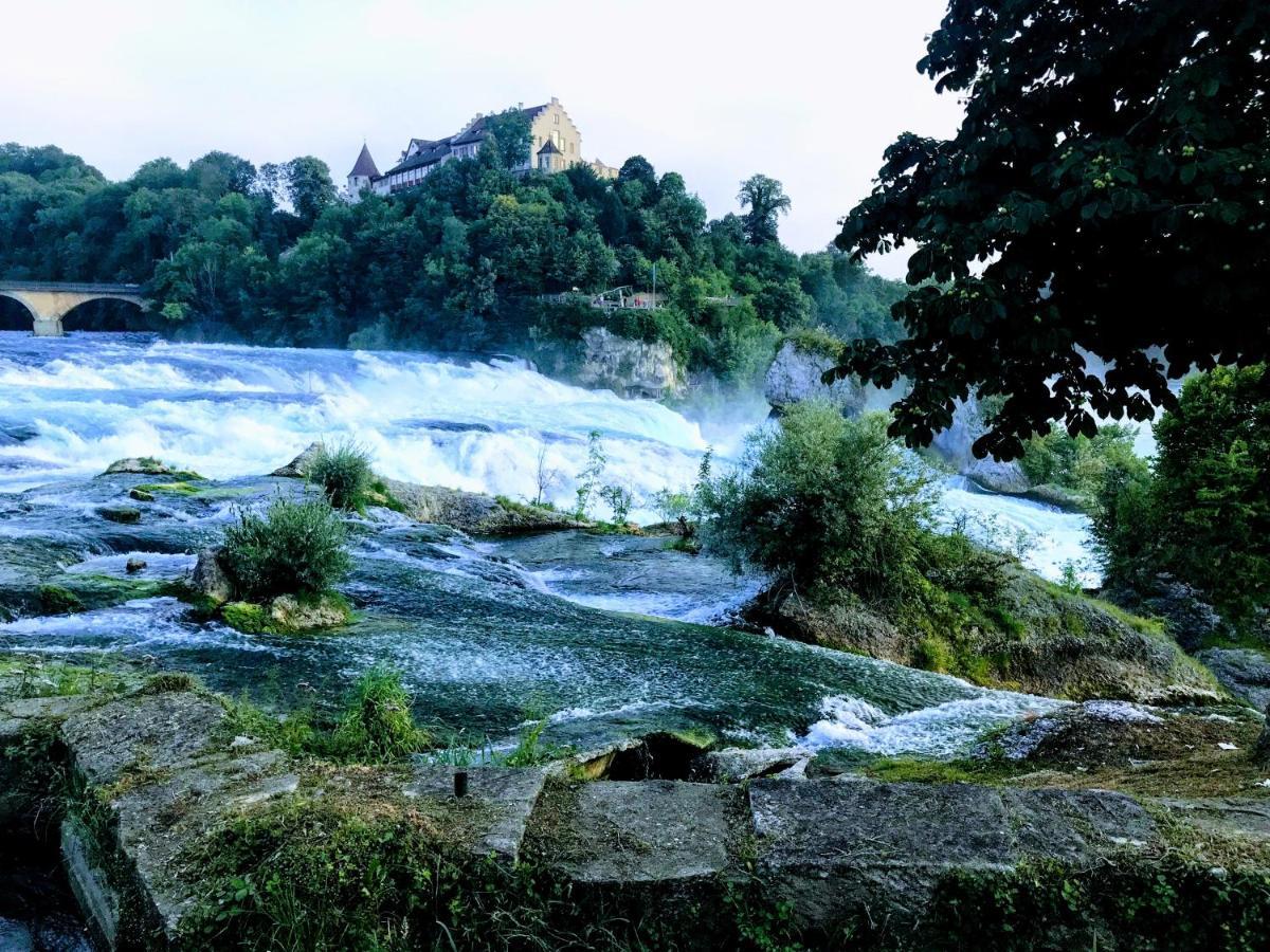 Ferienwohnung Hegau- Bodensee Og Muhlhausen-Ehingen Bagian luar foto