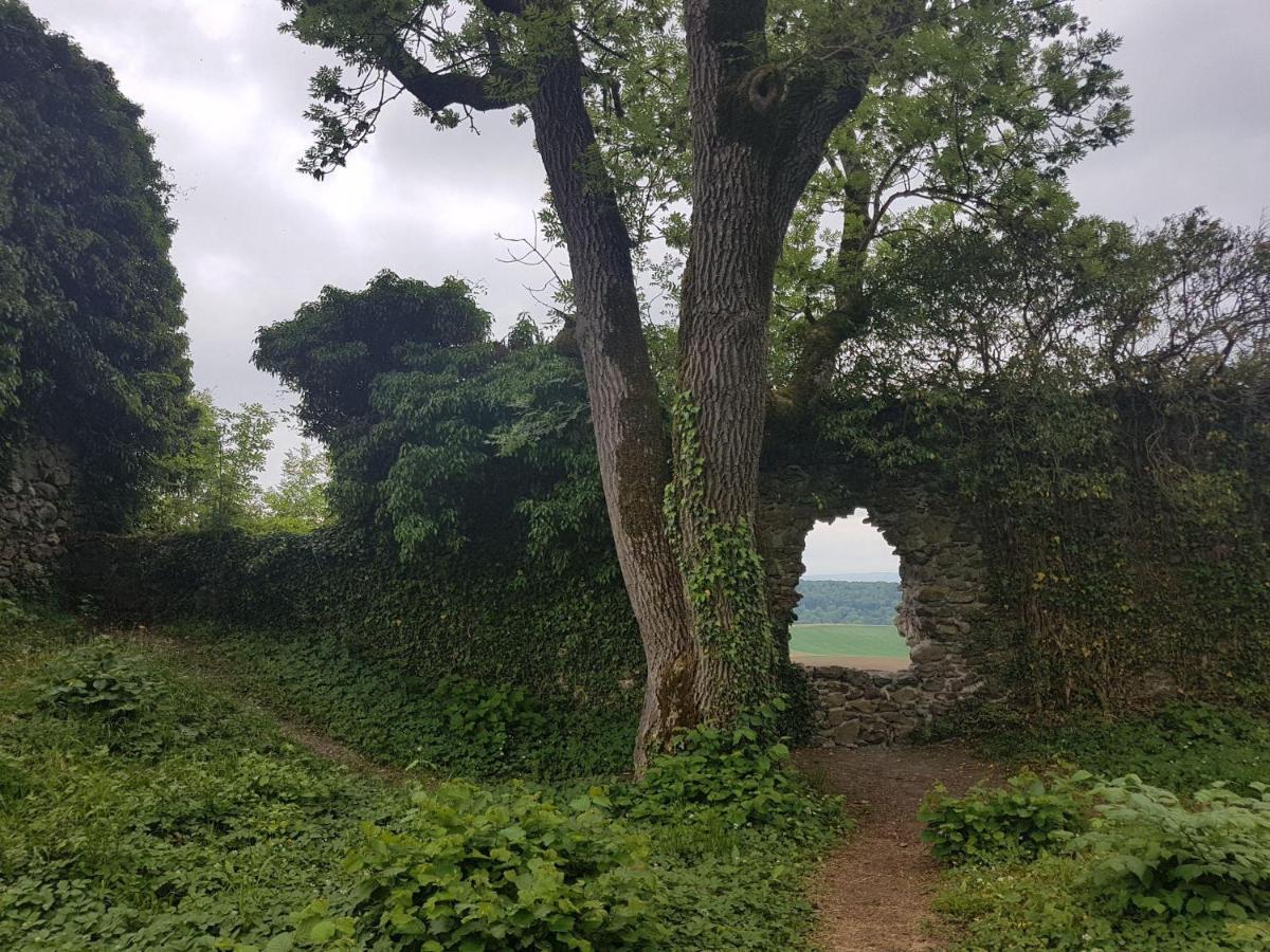 Ferienwohnung Hegau- Bodensee Og Muhlhausen-Ehingen Bagian luar foto